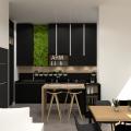 Cuisine haut de gamme avec mur vegetal